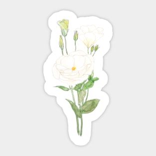 white eustoma Prairie gentian flowers ink and watercolour Sticker